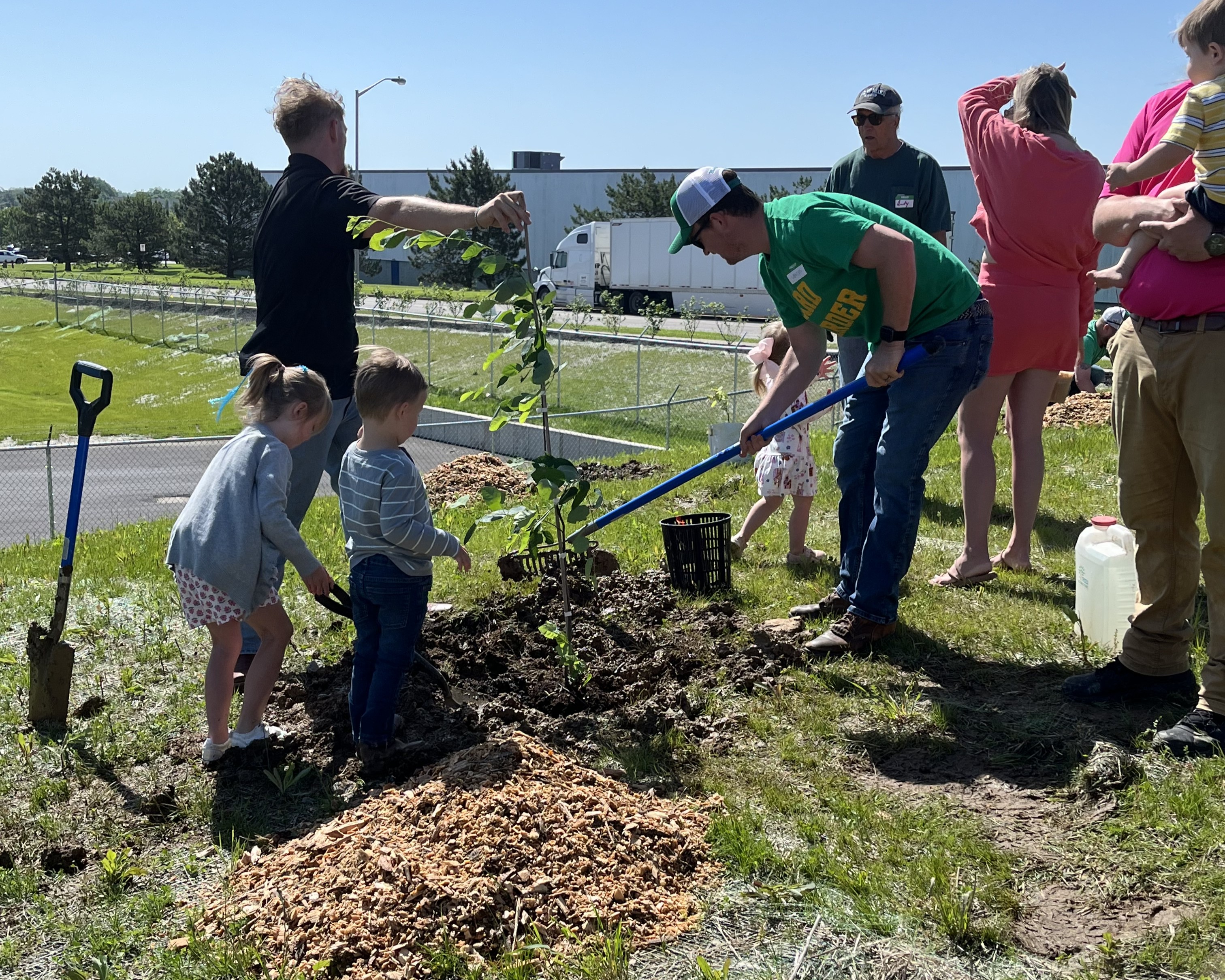 planting trees